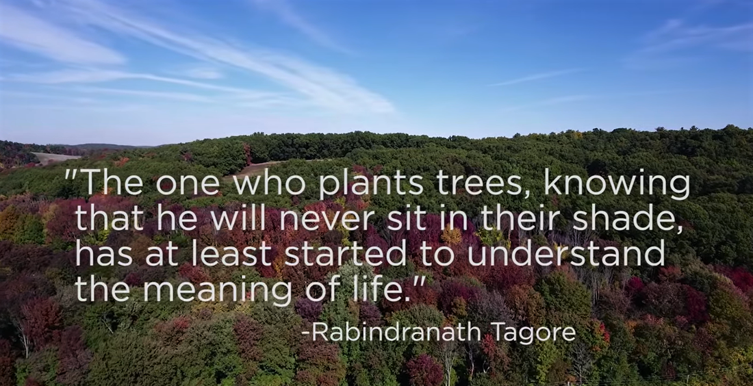Famous quote about planting trees by Rabindranath Tagore, 